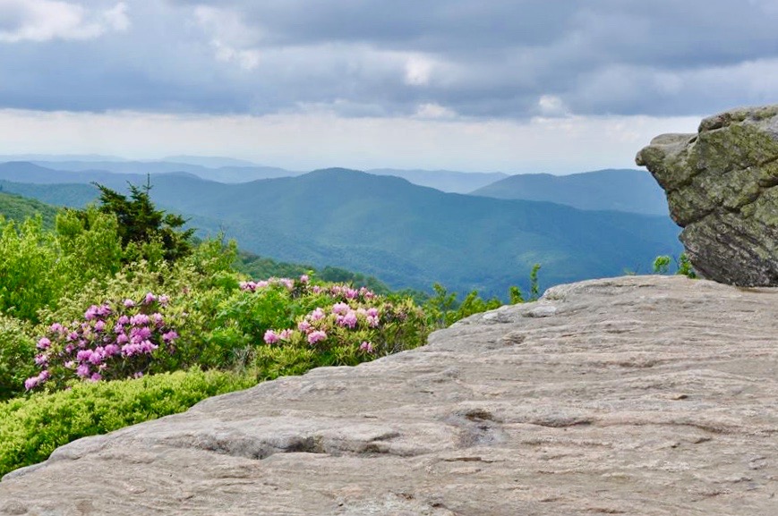 19105643_10208854463909922_19423909067427628_n