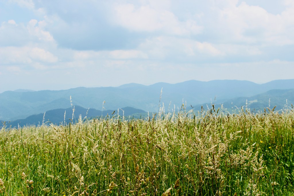 The Privileged Life: Fresh&nbsp;Air