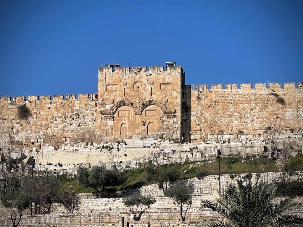 The Privileged Life: Wave the Palm&nbsp;Branch