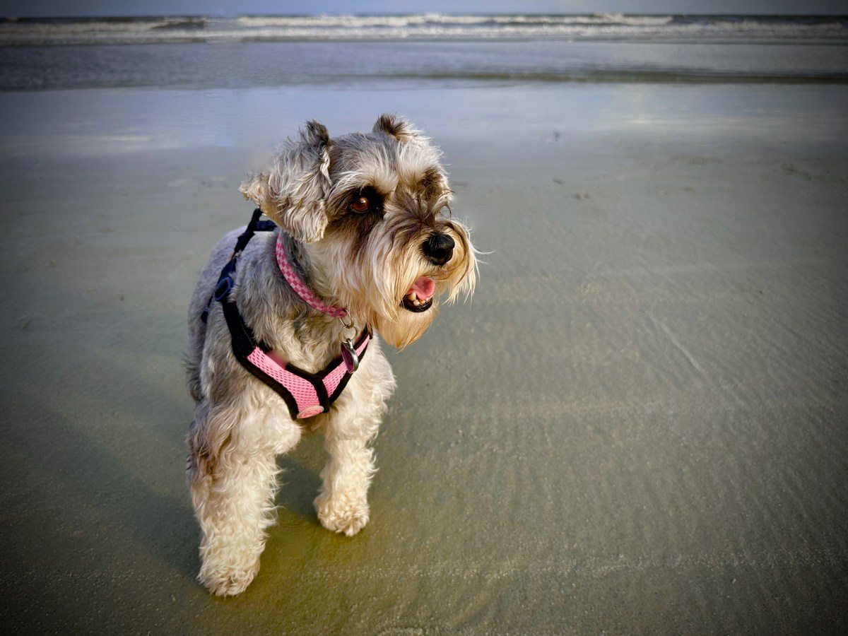 From Anxiety to&nbsp;Delight