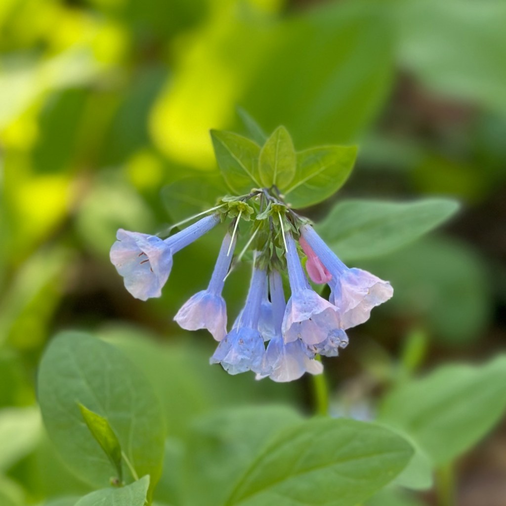 As we anticipate Christ's return, will we be prepared for Him?