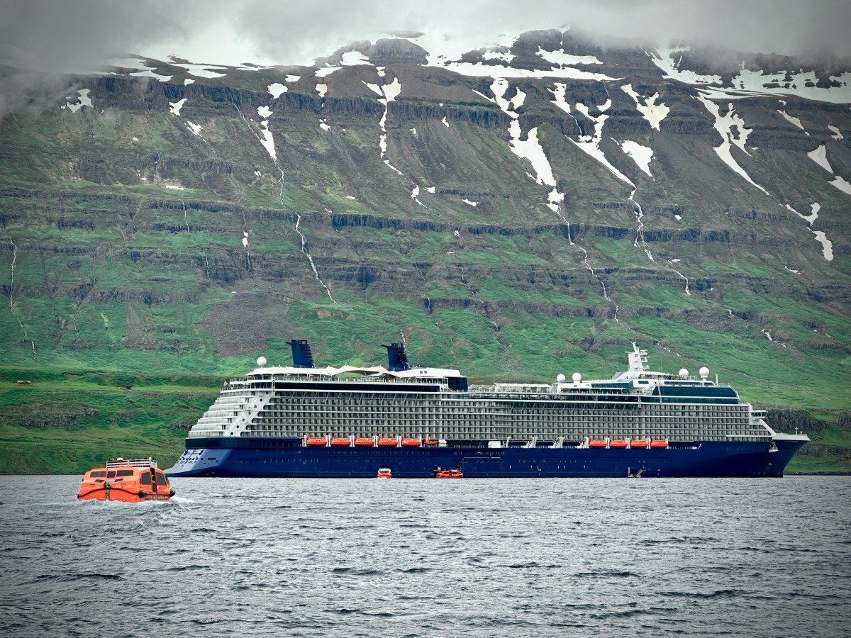 A Cruise-Like Abundance